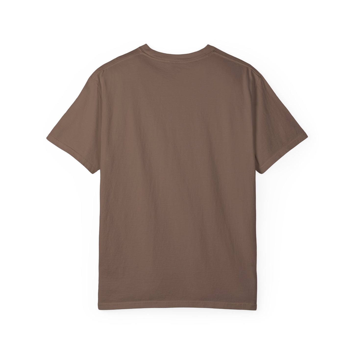 Unisex Garment-Dyed T-shirt Choose " Jesus over Panic"