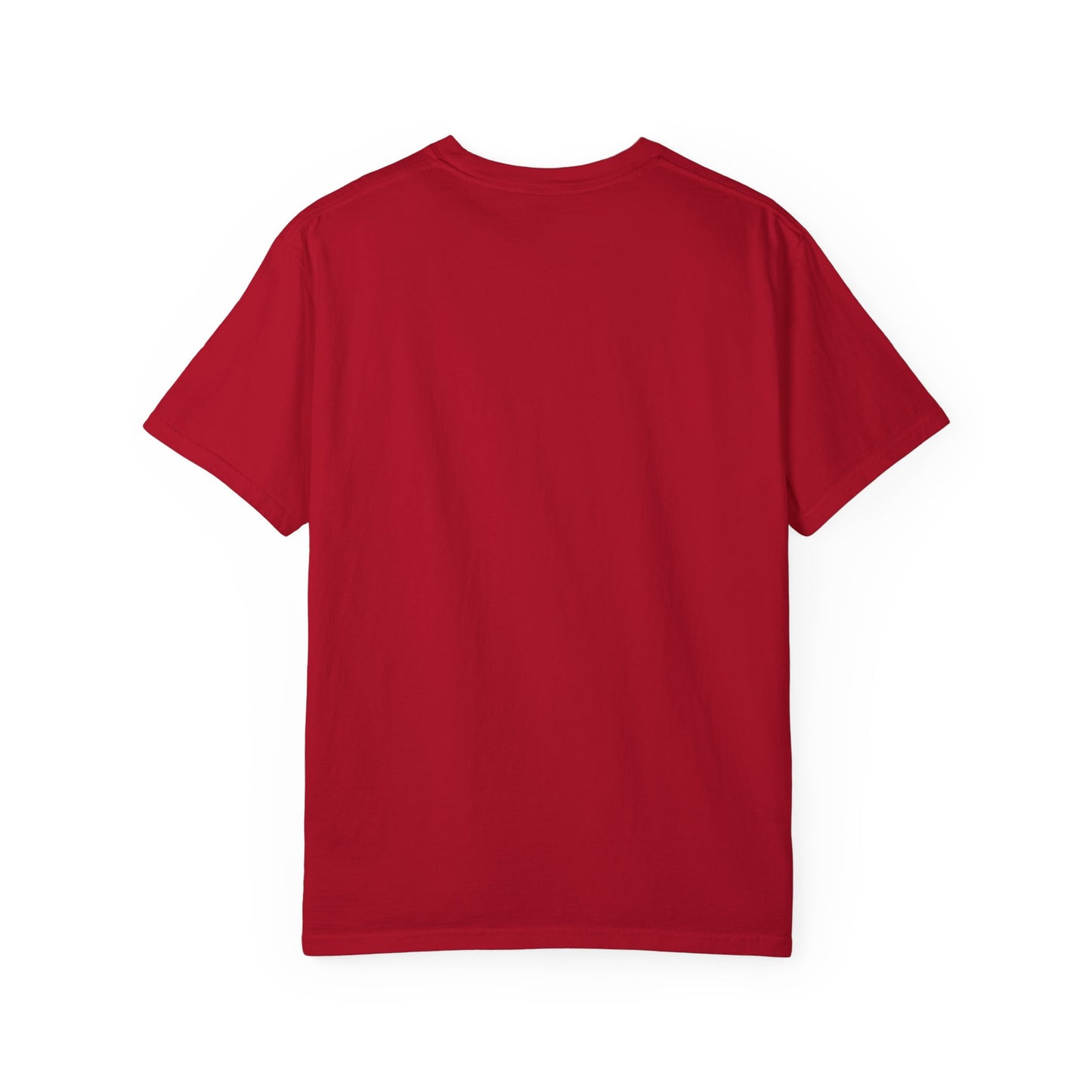 Unisex Garment-Dyed T-shirt Choose " Jesus over Panic"