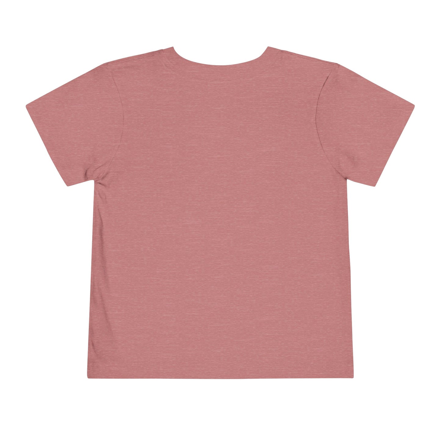 Toddler Short Sleeve Tee " I can do all things"