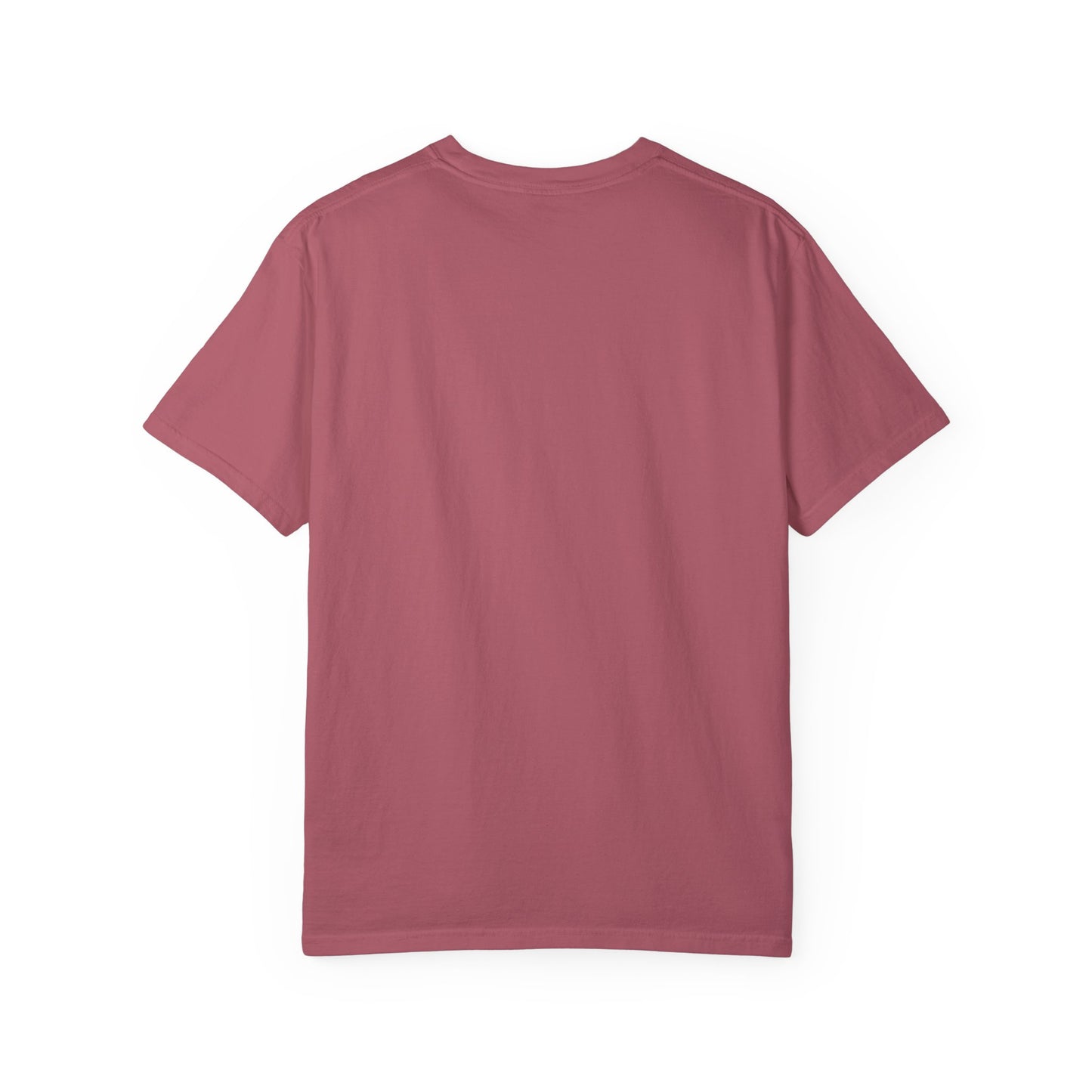 Unisex Garment-Dyed T-shirt Choose " Jesus over Panic"