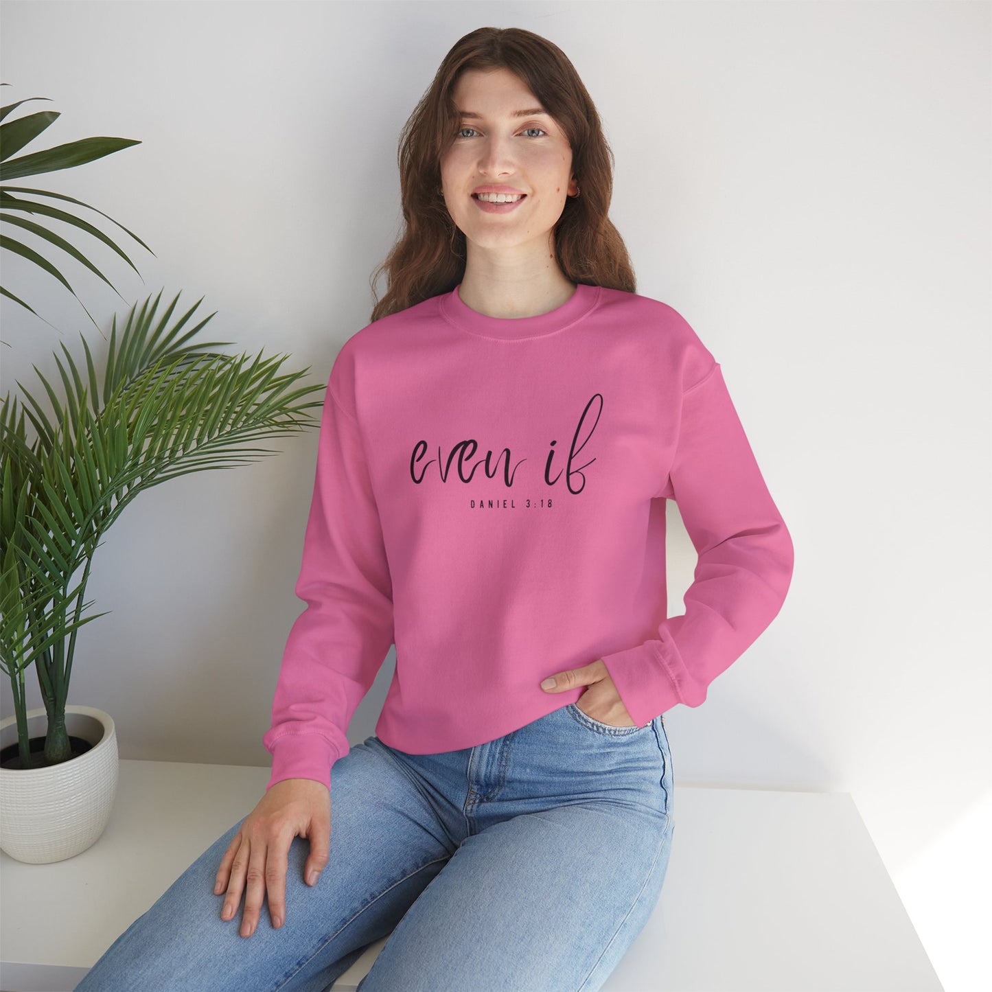 Christian Crewneck Sweatshirt - Inspire